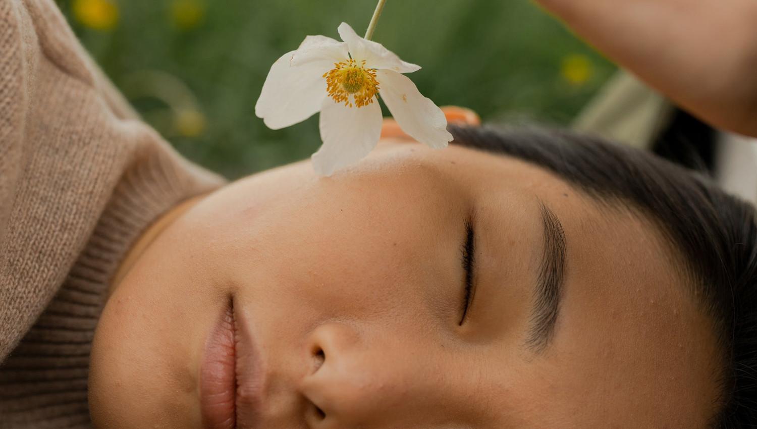 The Whole Truth about Dream Books which Was Hidden from You