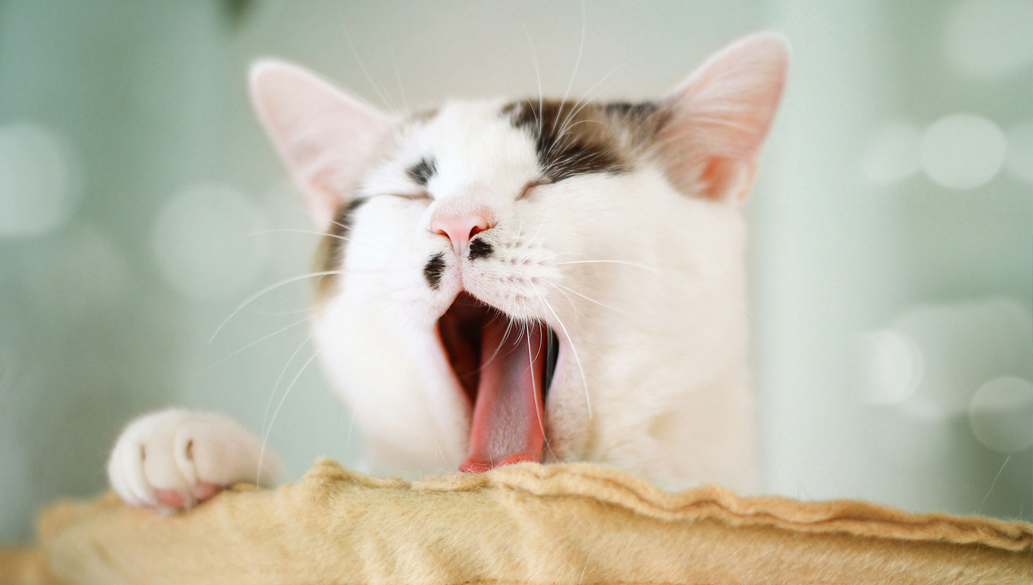 Sleeping Pills are Not An Option