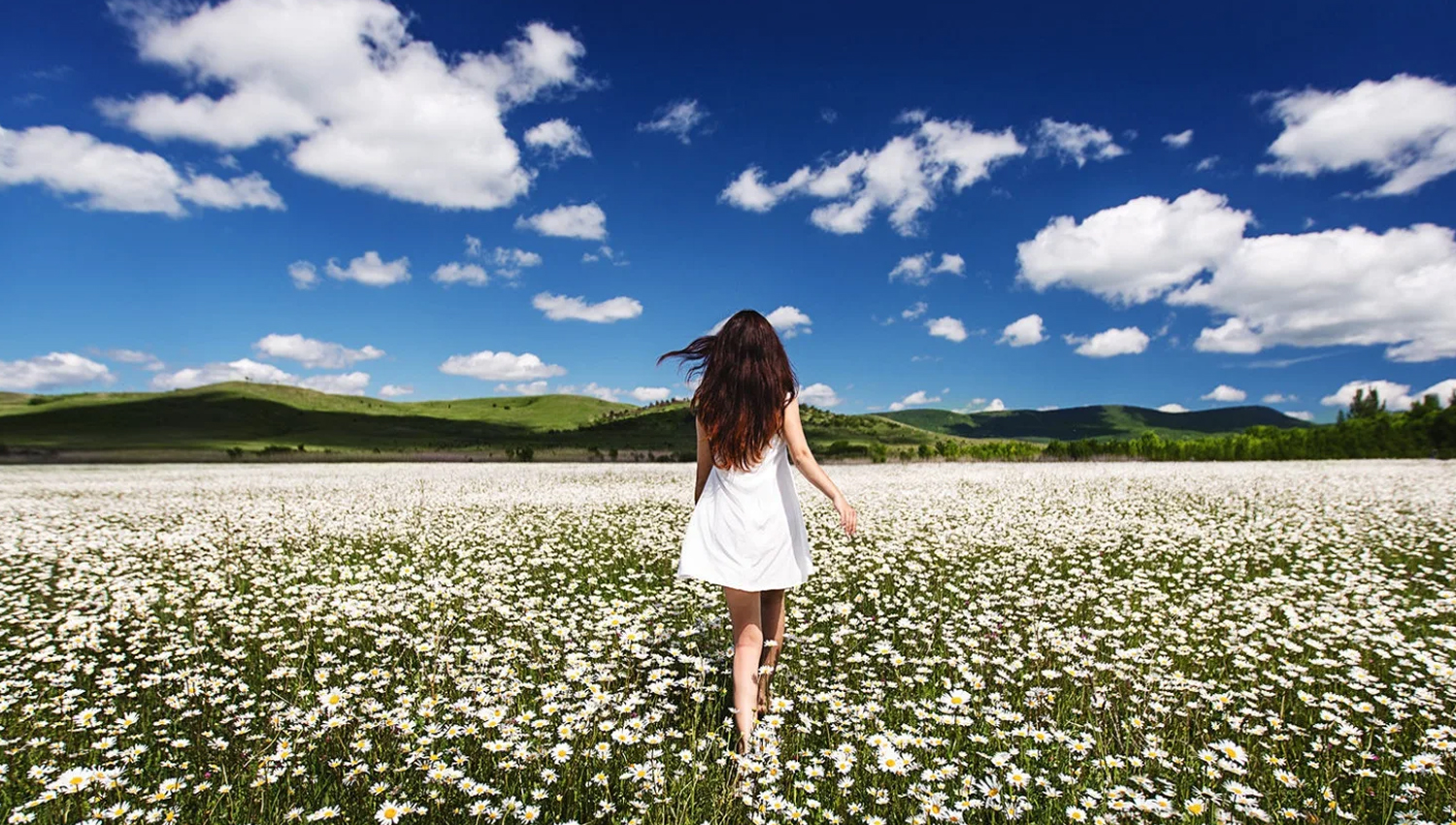 She's Ruining Your Life, Get Rid of Her!